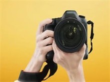 北京宠物摄影网站设计 创意与专业的完美融合